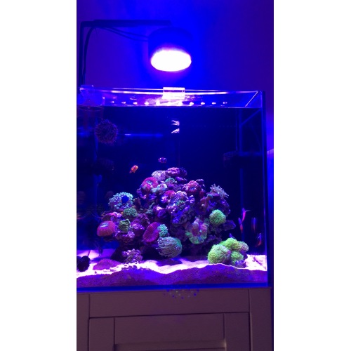 PHLIZON LED Aquarium Light Wifi IR-Steuerung 80W