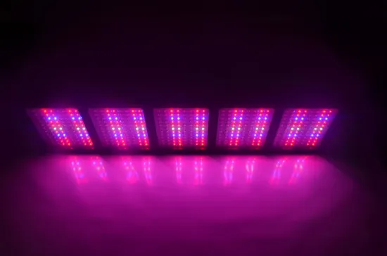 320W - 1600W vertical farming LED Grow Light for plant blooming and growing