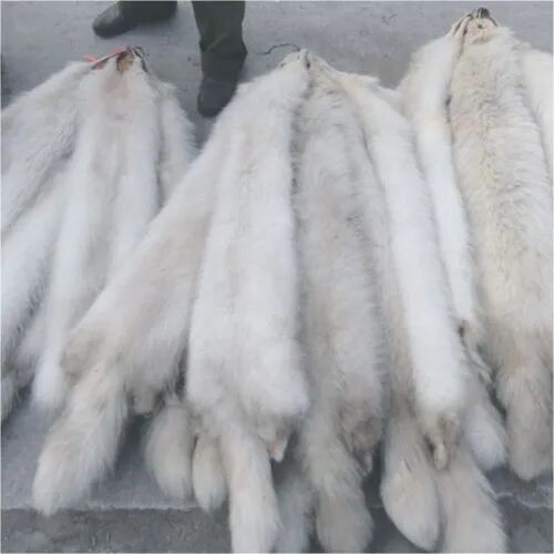 A Guide to Avoiding Pitfalls When Buying Mink Coats: The Vast Difference Between Whole Mink and Patchwork Mink – Many Consumers Easily Fall into Trap Scams