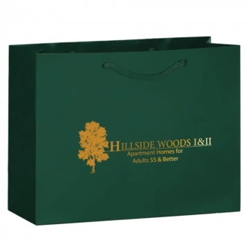 Large Paper Bag with Flat Handle