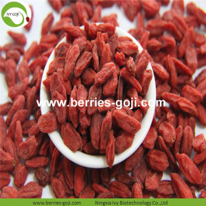 Factory Wholesale Package Low Sugar Wolfberries