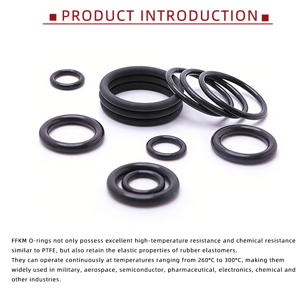 Aerospace FFKM O-Ring Seal Gaskets x