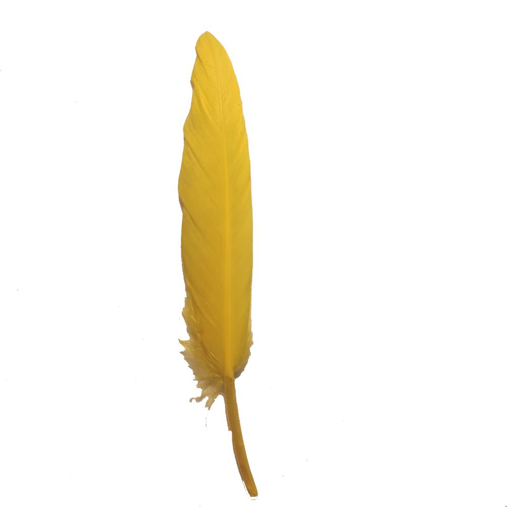Yellow Goose feather