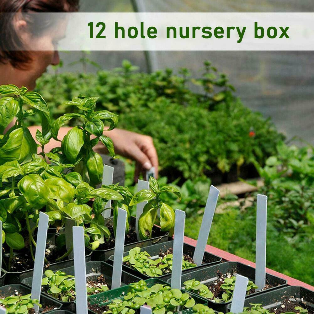 12 Hole Plant Seeds Crop Protector Seedling Tray Seedling For Nursery Seedling Garden Tray Pots For Plants Crop Guard