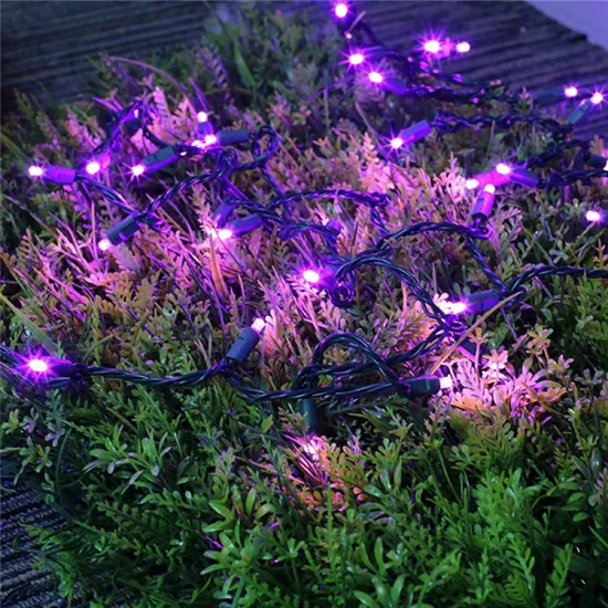 50LED 4inch Spacing IP65 Mini Patio Outdoor Fairy LED String Lights for Christmas Tree Decoration
