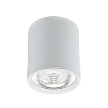 LEDER Kitchen Used 30W LED Downlight