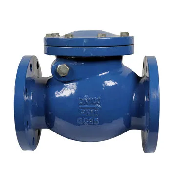 Cast iron swing check valves