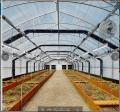 Spectrum complet 100W à 1000W LED cultiver en serre clair agriculture verticale hydroponique