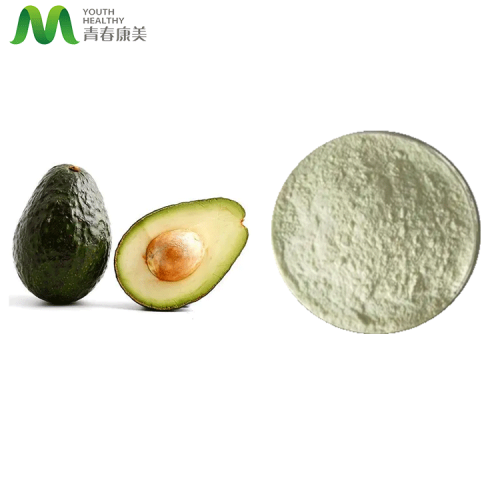 Natural Avocado Powder Natural Food Ingredients Avocado Fruit Juice Powder Manufactory