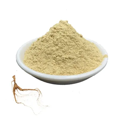 Ginseng Extract Powder for Sale