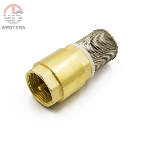 S.S Spring Vertical Stainless Steel Filter Check valves water pump good price  brass foot valve with strainer