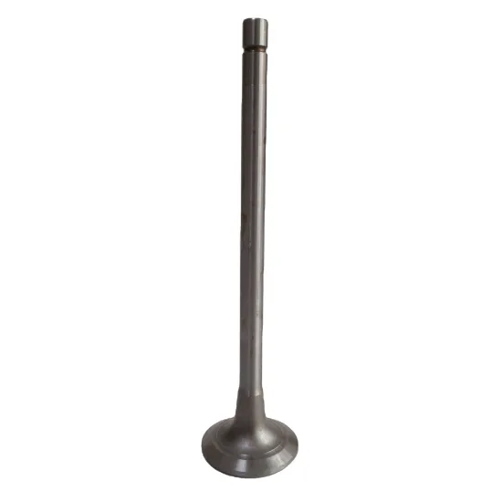 High-Quality Truck Diesel Engine Parts: 6L Air Intake Valve Kits (Part Number: 3033234)