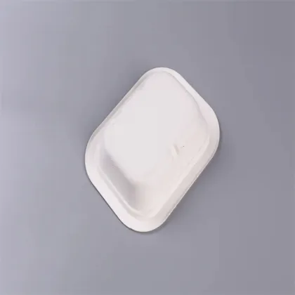 Biodegradable Tableware Food Packaging Bagasse Container