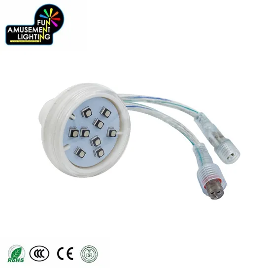 DC24V Programmable RGB Ferris Wheel Lights for Amusement Park Decoration