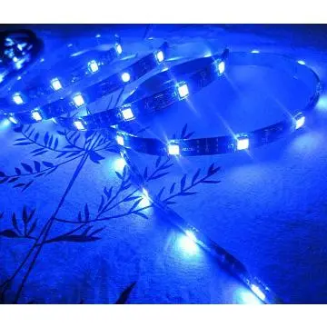 Outside Blue string lights commercial decoration