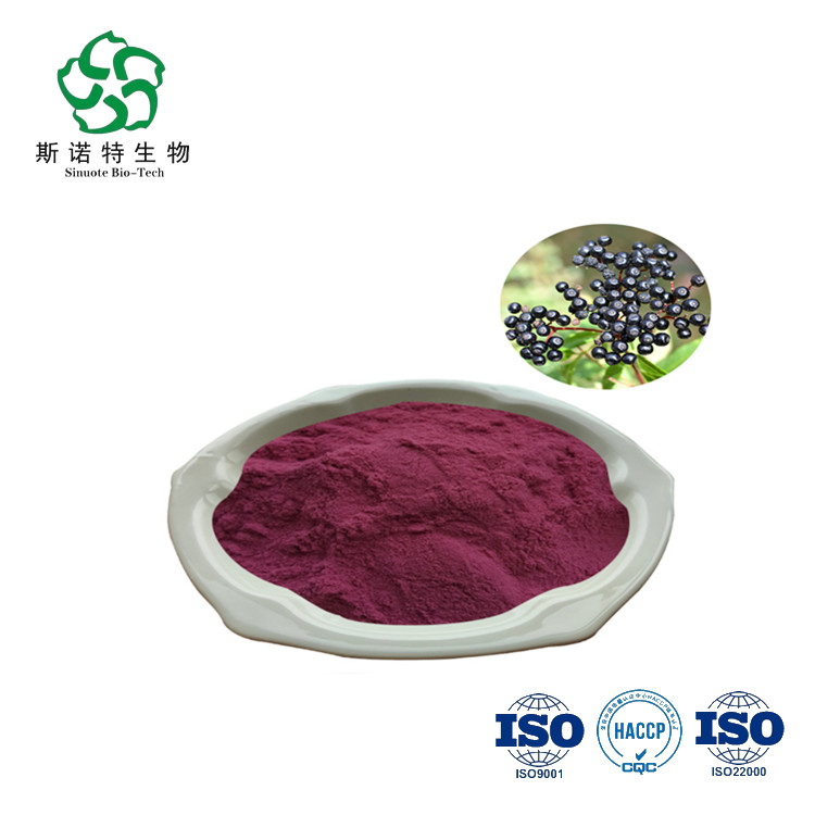 Heißverkaufs Chokeberry -Extraktpulver Anthocyanidine