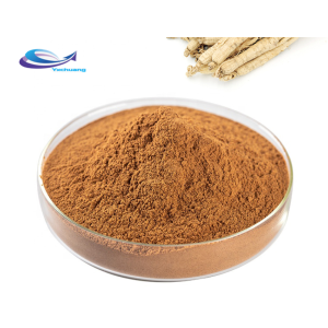 Health care organic Reishi extract Ganoderma mushroom powder