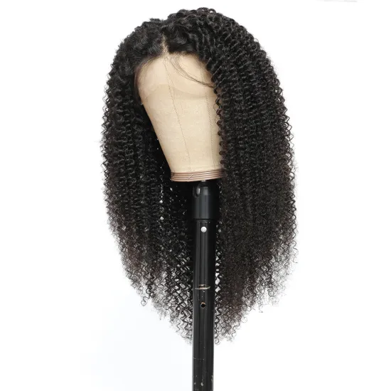 Hair Manufacturer Direct Wholesale Price Unprocessed HD TRANSPARENT Lace Frontal Wig BRAZILIAN VIRGIN human lace wig