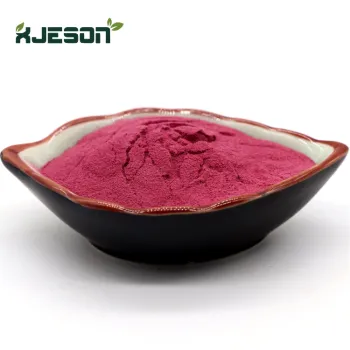 Superfood Freeze Dried Aronia Fruit 99% Powder