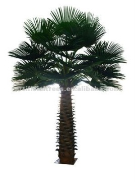 New style Specail Big Palm Tree