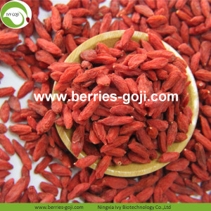 Bán sỉ ngọt Dinh dưỡng Thuốc trừ sâu thấp Goji Berry