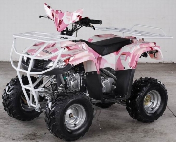 110CC ATV-YL819
