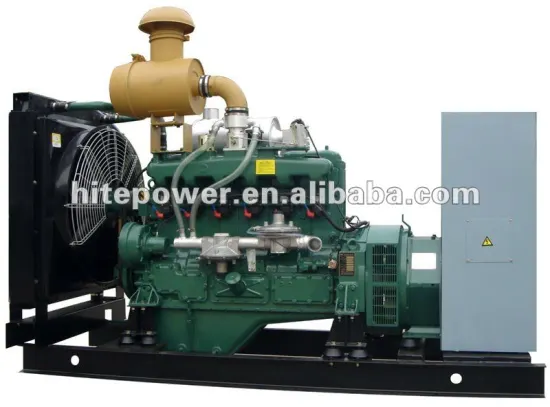 Hot sale ! Natural gas/Gas Generator