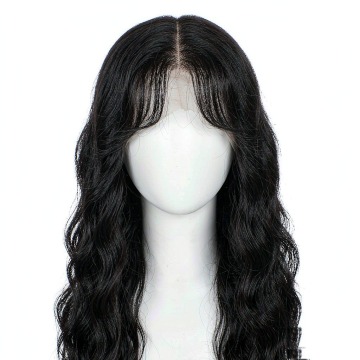 Water Wave 2x6 Lace Closure Wig 100% Human Hair
