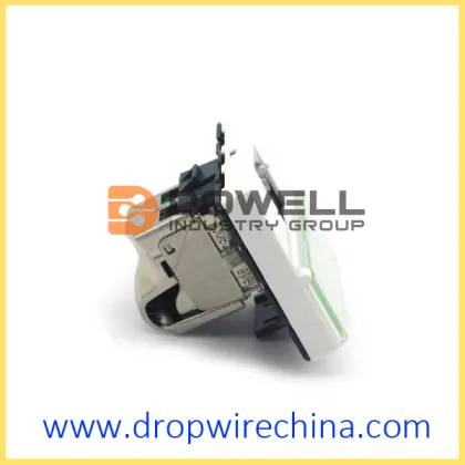 Legrand LCS2 Mosaic Socket Unshielded 1 Modular Breed