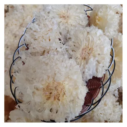 Organic Tremella Mushroom Fresh Products