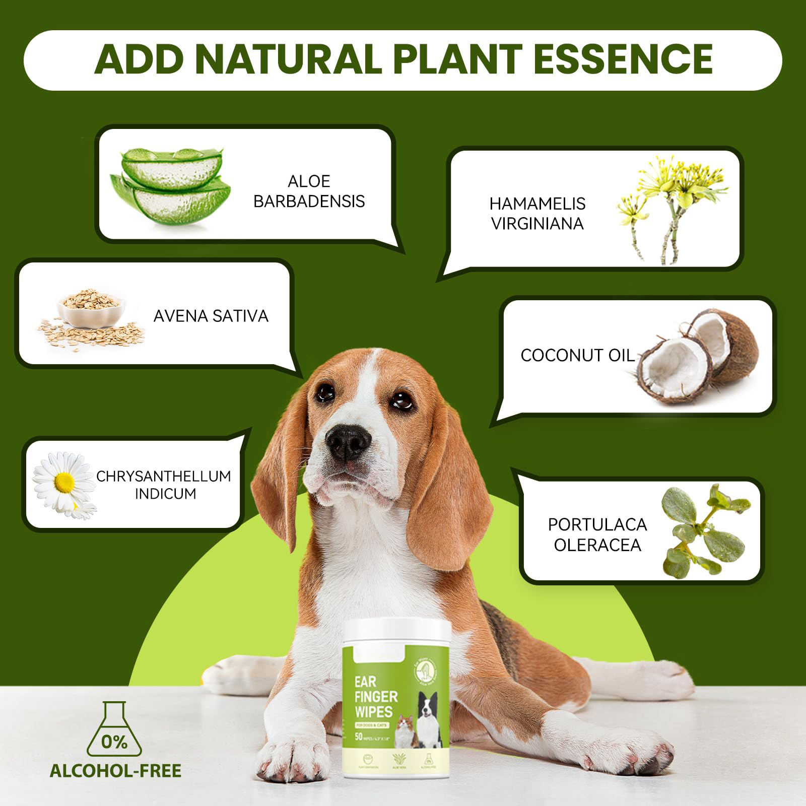 H047b3981138e4916b6009dc3db939365x