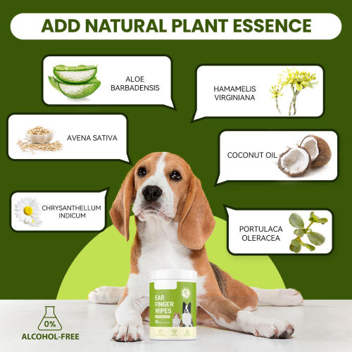 Na-customize na di-alkohol na alagang hayop sa paglilinis ng tainga