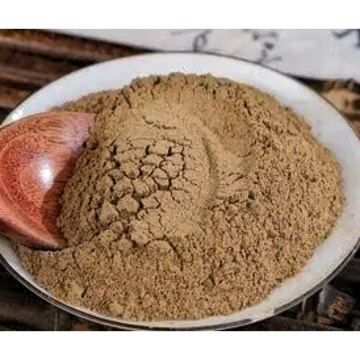 Organic Cicada Slough Extract for Holistic Wellness Solutions