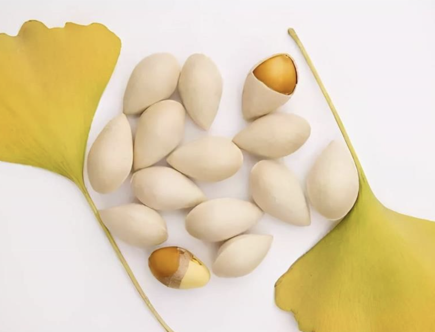 Ginkgo Biloba Manufacturer