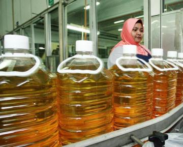 Palm Cooking Oil