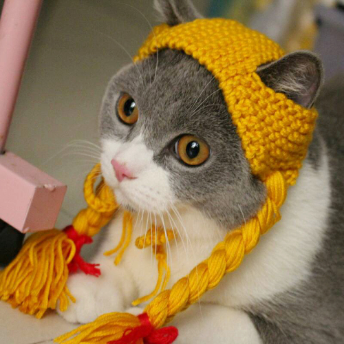 सर्दियों के पालतू कुत्तों बिल्लियों टोपी सुंदर लड़की ब्रैड के आकार का बुना हुआ