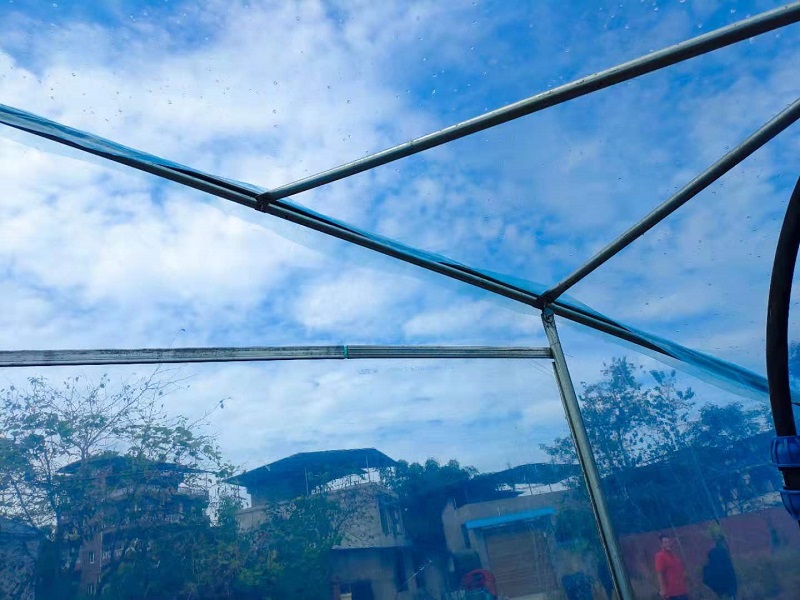 Qingcheng Agriculture's Single-Unit Arched Greenhouse Project in Hechuan Successfully Launched, Boosting the Quality and Efficiency of Suburban Facility Agriculture