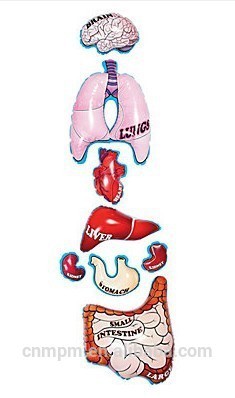 Inflatable Organs