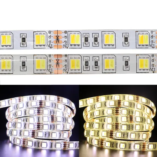 Adjustable Dual-Color (Red and Green) 60 LED SMD5050 Flexible Strip Light with DC12/24V Power Supply