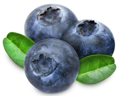 Organic Wild Blueberry Fruit Juice Extract Powder