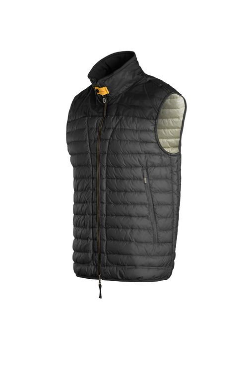 Puffer2 Jpg
