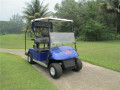 Kereta Golf Bertenaga Gas 2 Seater 300CC