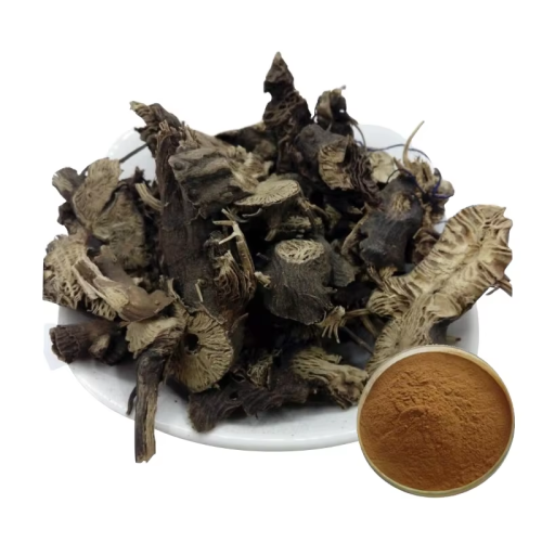 Black Cohosh Extract Benetits