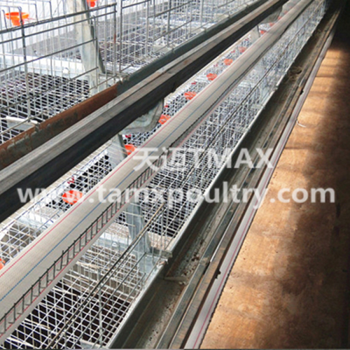 Sistema de gaiola de camada para criação de galinhas