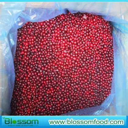 Frozen Lingonberry