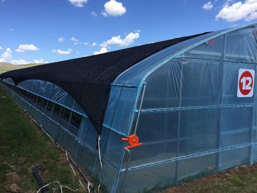 Blue Greenhouse Application