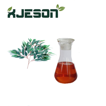 High Quality Eucalyptus Oil