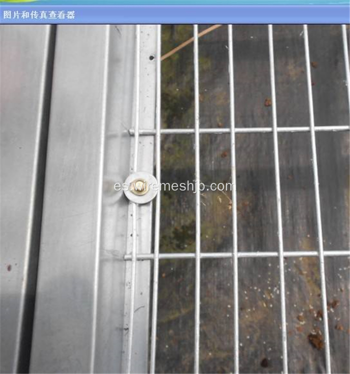 Seedling Bed Mesh- Galvanized Welded Mesh Sheets