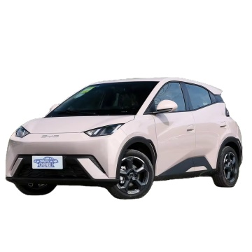 2024 BYD BAYAGULL ELECTRIC COCH - Mejor precio 4 asiento EV