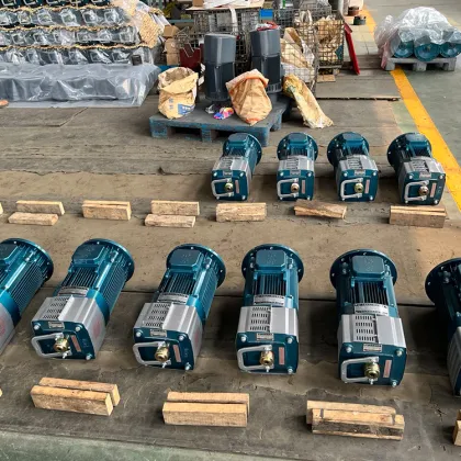 Construction Hoist Lifting Machine for Machinery